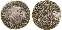 grosz 1543, Królewiec, końcówka legendy PRVSS, m