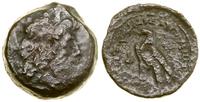 brąz, Aw: Głowa Zeusa Ammona w prawo; Rw: Orzeł 