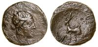brąz 105–90 pne, Aw: Głowa Artemidy w prawo, Rw: