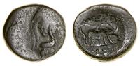 brąz ok. 187–167 pne, Aw: Głowa Ateny w hełmie w