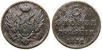 3 grosze polskie 1831 KG, Warszawa, moneta polak