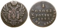 1 grosz z miedzi kraiowey 1823 IB, Warszawa, Bit