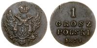 1 grosz 1834 IP, Warszawa, patyna, Bitkin 1071, 