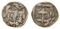 denar 1386–1399, Kraków, Aw: Orzeł z pionowymi p