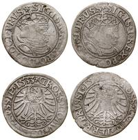 lot 2 x grosz 1533, Toruń, jedna z monet z rzadk