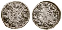 denar 1238–1276, Aw: Głowa władcy w lewo, w koro