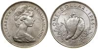 1 dolar 1966, srebro próby 800 18.05 g, piękny e