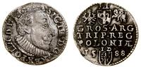 trojak 1588, Olkusz, duża głowa króla, litery ID