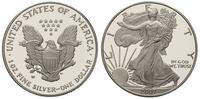 1 dolar 2007, srebro "999" 31.20 g, stempel lust
