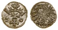 denar 1550, Gdańsk, patyna, połysk menniczy, CNG