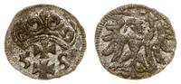 denar 1558, Gdańsk, wyraźny blask menniczy, paty
