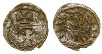 denar 1554, Elbląg, patyna, blask menniczy, CNCE