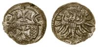denar 1555, Elbląg, patyna, ładny, CNCE 232, Kop