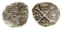 parwus 1387–1427, Aw: Czteropolowa tarcza herbow