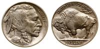 5 centów 1913, Filadelfia, typ Buffalo, pierwszy
