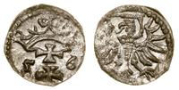 denar 1556, Gdańsk, ładny połysk menniczy, rzadk