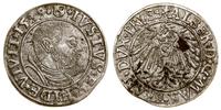 grosz 1539, Królewiec, końcówka legendy rewersu 