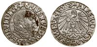 grosz 1544, Królewiec, końcówka legendy PRVSS, t