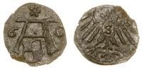 denar 1560, Królewiec, patyna, lekko podgięty, r