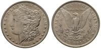 dolar 1881, Filadelfia, typ Morgan