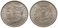 dolar 1884/O, Nowy Orlean, typ Morgan