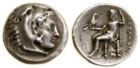 drachma  336–323, Lampsakos, Aw: Głowa Heraklesa