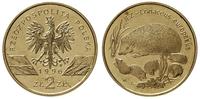 2 złote 1996, Warszawa, Jeż, Nordic Gold, bardzo