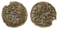 denar 1555, Elbląg, patyna, Kop. 7099 (R3), Pfau