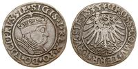 grosz 1535, Toruń, końcówki legend PRVSSIE / PRV
