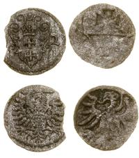 zestaw 2 x denar, bez daty (Elbląg, Zygmunt I St