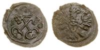 denar 1610, Poznań, skrócona data 1-0, niedobity