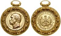 medal nagrodowy bez daty (1873–1879), Aw: Głowa 
