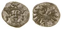 denar  1551, Gdańsk, bardzo rzadki rocznik, ładn