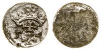 denar 1554, Gdańsk, zielony nalot na rewersie, C