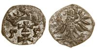 denar 1555, Gdańsk, z blaskiem menniczym, CNG 81