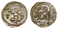 denar 1557, Gdańsk, odmiana z prostą koroną, nie