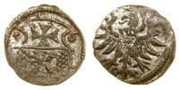 denar 1556, Elbląg, ładnie zachowany, CNCE 233, 
