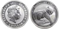 1 dolar 2012 P, Perth, Koala australijski, srebr