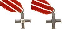 Krzyż Ochotniczy za Wojnę, Krzyż, na ramionach 1