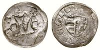denar ok. 1346–1357, Aw: Gotycka litera L, [ODOV