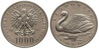 1.000 złotych 1984, Warszawa, PRÓBA-NIKIEL  Ochr