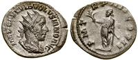 antoninian 251–253, Rzym, Aw: Głowa cesarza w pr