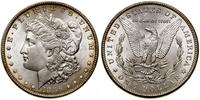 1 dolar 1886, Filadelfia, typ Morgan, drobne rys