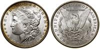 1 dolar 1887, Filadelfia, typ Morgan, drobne rys