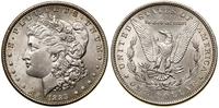 1 dolar 1889, Filadelfia, typ Morgan, drobne rys