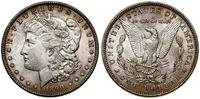 1 dolar 1890, Filadelfia, typ Morgan, drobne rys