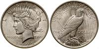 1 dolar 1922, Filadelfia, typ Peace, minimalne p