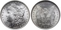 1 dolar 1884 , Filadelfia, typ Morgan, srebro pr