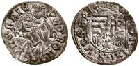denar bez daty (1490–1502), Aw: Tarcza herbowa, 