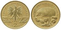 2 złote  1996, Warszawa, Jeż, golden nordic, Par